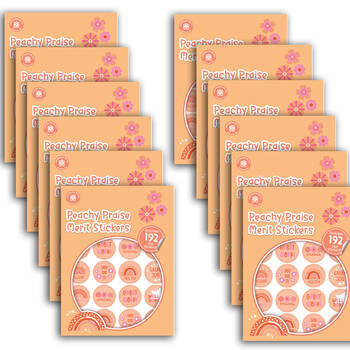 12x 192pc Learning Can Be Fun Peachy Praise Merit Sticker Book 28mm