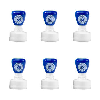 6PK Learning Can Be Fun You're Kicking Goals Self-Inking Merit Stamp Blue