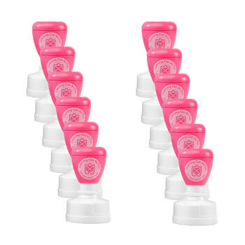 12PK Learning Can Be Fun Magical Work Self-Inking Merit Stamp Pink