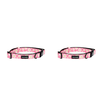 2PK Splosh Frank Barker M Pink Daisies Dog Collar Adjustable 33-55cm