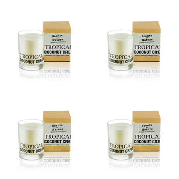 4PK Scents Of Nature Tropical Coconut Cream Soy Candle Scented 240g