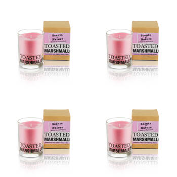 4PK Scents Of Nature Toasted Marshmallow Soy Candle Scented 240g