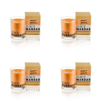 4PK Scents Of Nature Juicy Mandarin Soy Candle Scented 240g