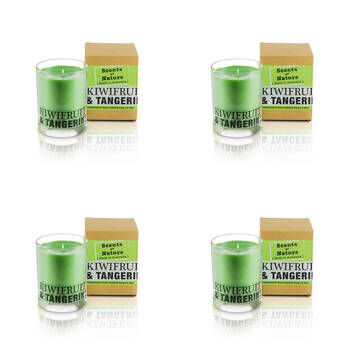 4PK Scents Of Nature Kiwifruit & Tangerine Soy Candle Scented 240g