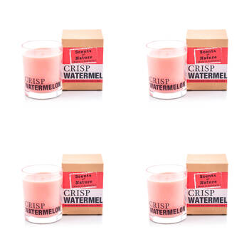 4PK Scents Of Nature Crisp Watermelon Soy Candle Scented 240g