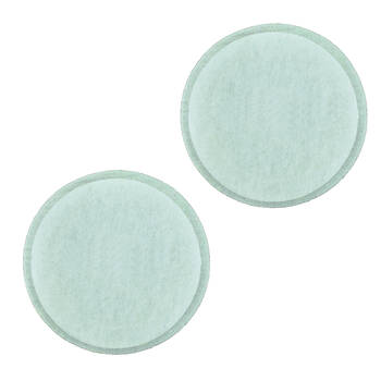 2x Cleanstar Post Motor Filter Pad Suits Models: DC07, DC14