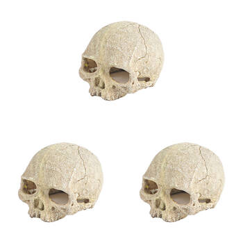 3PK Dudley's World Of Pets Skull Tank/Aquarium Decoration