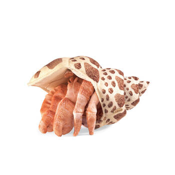 Folkmanis Hermit Crab Hand Puppet Kids Soft Plush 33x23cm Toy 3y+