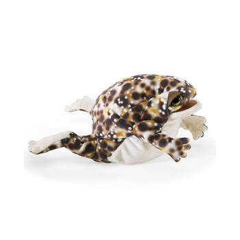 Folkmanis Desert Rain Frog Hand Puppet 20cm Kids Toy 3y+