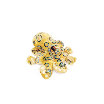 3pc Folkmanis Blue Ringed Octopus Finger Puppet 13cm Kids Toy 3y+