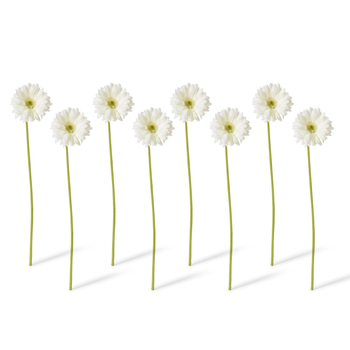 8PK E Style Artificial 53cm Plastic Gerbera Daisy Stem - Off White