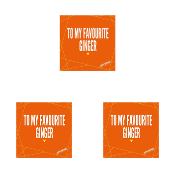 3PK Filthy Sentiments Favourite Ginger Card w/ Envelope 14x14cm