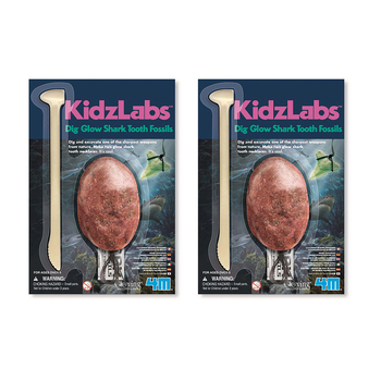 2PK 4M Shark Tooth Fossil Kids/Toddler Activity Toy 5y+