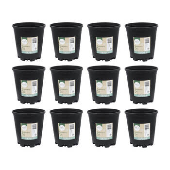 12PK Antheia Green Homewares 13cm Black Plastic Growers Pot