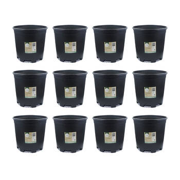 12PK Antheia Green Homewares Plastic Growers Pot Black 22cm