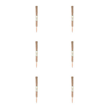 6PK Antheia Green Homewares Coco Fibre Plant Pole 60cm