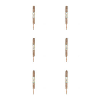 6PK Antheia Green Homewares Coco Fibre Plant Pole 50cm