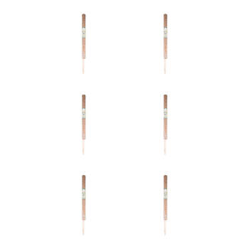 6PK Antheia Green Homewares Coco Fibre Plant Pole 70cm