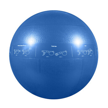 GoFit Pro Guide Ball 55cm Gym Ball