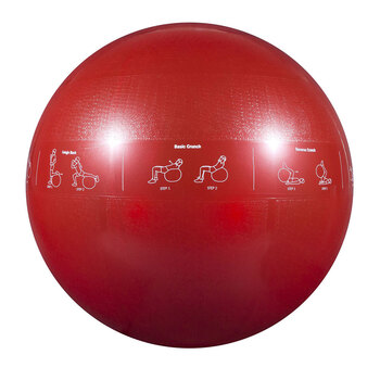 GoFit Pro Guide Ball 65cm Gym Ball