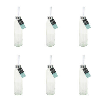 6PK Glass & Co Large Silver Screw Lid Drinking Bottle w/ Handle 500ml Clear