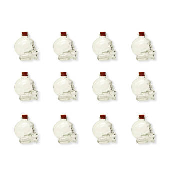 12PK Glass & Co 180ml Small Glass Skull Drinking Bottle - Clear