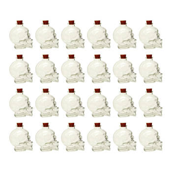 24PK Glass & Co 180ml Small Glass Skull Drinking Bottle - Clear