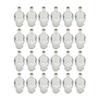 24PK Glass & Co 380ml Medium Glass Skull Drinking Bottle - Clear