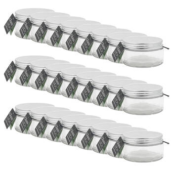 24PK Glass & Co Olivia Round Silver Screw Lid Preserving Storage Jar 230ml Clear