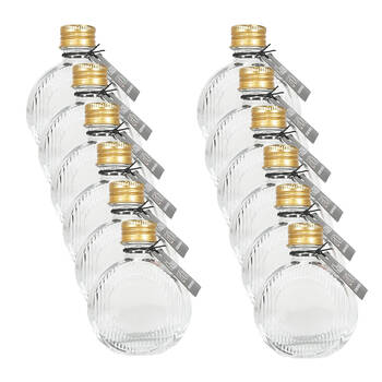 12PK Glass & Co Flat Round Gold Lid Bottle Storage Jar 60ml Clear