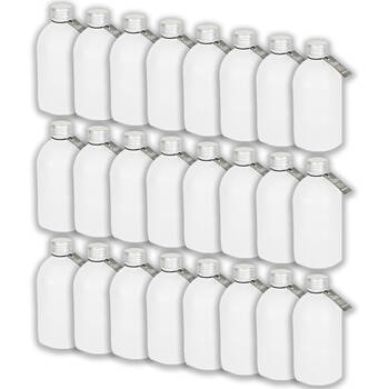 24PK Glass & Co Round Silver Lid Frosted Bottle Storage Jar 330ml Clear