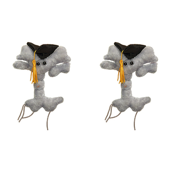 2PK Giant Microbes Graduation Brain Cell Soft Stuffed Plush Toy Grey