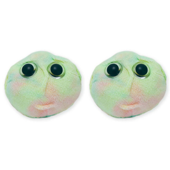 2PK Giant Microbes Stem Cell Soft Stuffed Plush Play Toy