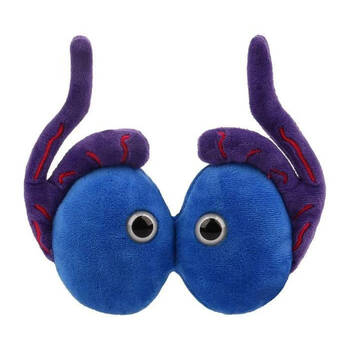 Giant Microbes Testicles Organ Educational Stuffed Science Plush Toy
