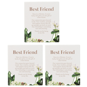 3PK Splosh Ceramic Greenhouse Best Friend Verse Plaque w/ Stand & Hook 12x14cm