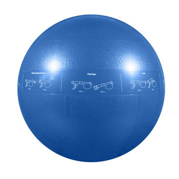 GoFit Pro Yoga Fitness Workout Exercise Balance Guide Ball 55cm Blue
