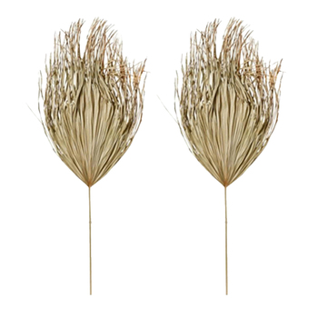 2PK E Style 130cm Palm Leaf Dried Stem Home Decor - Natural