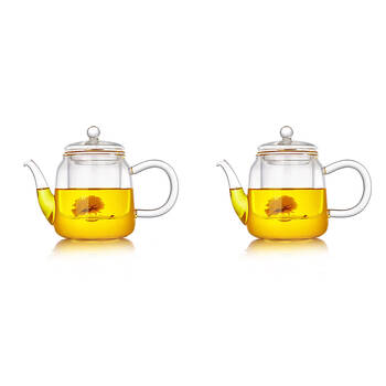 2PK NF Living Glass Teapot with Filter 500ml Solid Clear