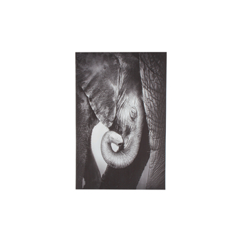 Maine & Crawford Blaine 90x60cm Baby Elephant On Stretched Canvas