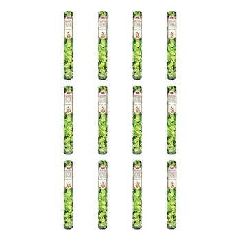 12x 20pc HEM Hexa Precious Patchouli Scent Incense Sticks Meditation Fragrance