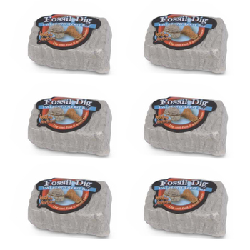 6PK Heebie Jeebies Pocket Money Science Fossil Dig Mini Paleo Kit Kids Toy Asst