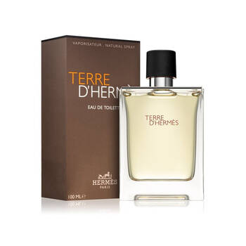 Hermes Terre D Hermes EDT Eau De Toilette Fragrance Spray Scent For Men 100ml
