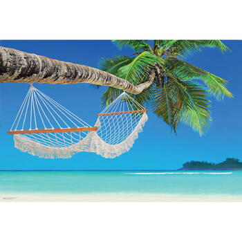 Impact Merch Beach Hammock Poster 91.5x51cm Home/Room Decor