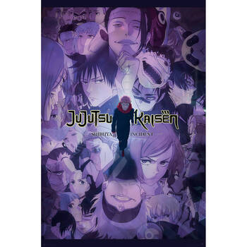 Jujutsu Kaisen Shibuya Incident Poster 91.5x60cm Kids Room Decor