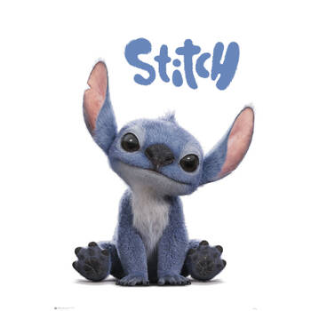 Disney Lilo & Stitch Live Action Regular Wall Poster/Print 61 x 91.5cm