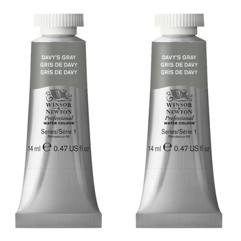 2PK Winsor & Newton 14ml Professional Watercolour Tube Davy's Gray S1