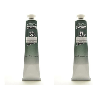 2PK Winsor & Newton 200ml Winton Oil Colour Paint Tube Sap Green