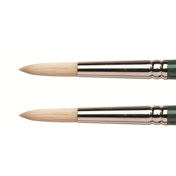 2PK Winsor & Newton WOC Winton Hog Round Paint Brush - Size 8