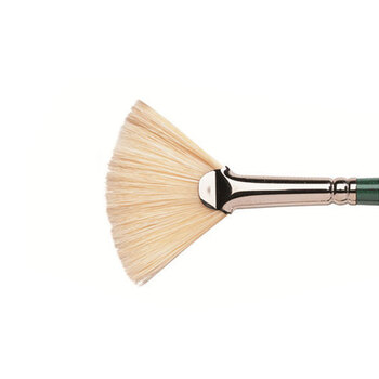 Winsor & Newton WOC Winton Hog Fan Paint Brush - Size 8