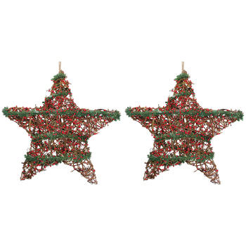 2PK LVD 30x30cm Plastic Star Berry Twigs Home/Living Room Decor